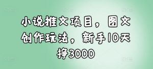 小说推文项目，图文创作玩法，新手10天挣3000-必智轻创社