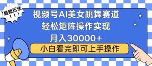 视频号蓝海赛道玩法，当天起号，拉爆流量收益，小白也能轻松月入30000+-必智轻创社