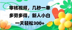 审核视频,几秒一单,多劳多得,新人小白一天轻松300+-必智轻创社