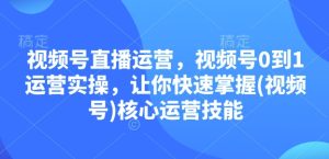 视频号直播运营,视频号0到1运营实操,让你快速掌握(视频号)核心运营技能-必智轻创社