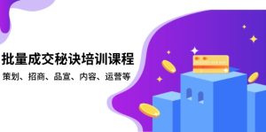 批量成交秘诀培训课程,策划、招商、品宣、内容、运营等-必智轻创社