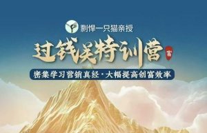 剽悍一只猫-过钱关特训营,学习营销真经 大幅度提高创富效率-必智轻创社