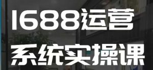 1688高阶运营系统实操课,快速掌握1688店铺运营的核心玩法-必智轻创社