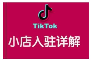 TikTok跨境小店运营全攻略,帮助你独立运营TK跨境小店的能力,实现销量增长-必智轻创社
