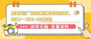 俄罗斯广告浏览撸美金项目，单窗口一天5-15美金-必智轻创社