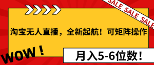 淘宝无人直播,全新起航!可矩阵操作,月入5-6位数!-必智轻创社