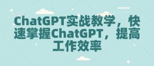 ChatGPT实战教学，快速掌握ChatGPT，提高工作效率-必智轻创社