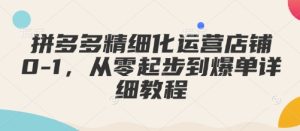 拼多多精细化运营店铺0-1,从零起步到爆单详细教程-必智轻创社