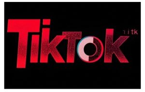 TikTok ads投流秘籍,涵盖tiktok整体投放思路,教你搭建测试计划-必智轻创社