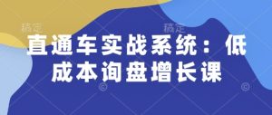 直通车实战系统:低成本询盘增长课,让个人通过技能实现升职加薪,让企业低成本获客,订单源源不断-必智轻创社
