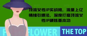 顶流女性IP实战班,流量上亿情绪引爆法,深度打磨顶流女性IP硬核基本功-必智轻创社