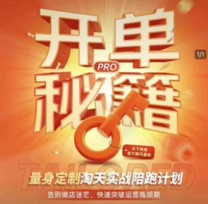 淘宝开单秘籍PRO，量身定制淘天实战陪跑计划，告别做店迷茫、快速突破运营瓶颈期-必智轻创社