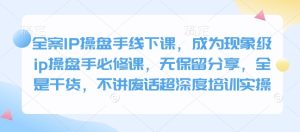 全案IP操盘手线下课,成为现象级ip操盘手必修课,无保留分享,全是干货,不讲废话超深度培训实操-必智轻创社