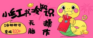 小红书冷知识账号,无脑复制粘贴,5分钟即可变现3张-必智轻创社
