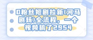 0粉丝短剧拉新(河马剧场)全流程,一个视频搞了2954-必智轻创社