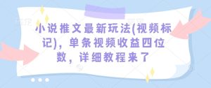 小说推文最新玩法(视频标记)，单条视频收益四位数，详细教程来了-必智轻创社