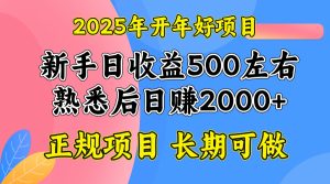 2025开年好项目,单号日收益2000左右-必智轻创社