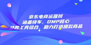 京东电商运营班:涵盖快车,DMP核心及各工具组合,助力打造爆款商品-必智轻创社