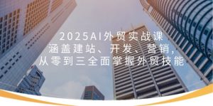 2025AI外贸实战课：涵盖建站、开发、营销, 从零到三全面掌握外贸技能-必智轻创社
