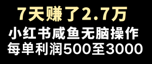 全网首发,7天赚了2.6万,2025利润超级高!-必智轻创社