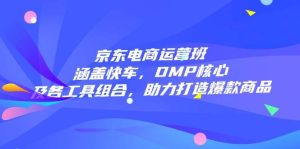 京东电商运营班：涵盖快车，DMP核心及各工具组合，助力打造爆款商品-必智轻创社