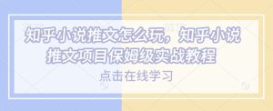 知乎小说推文怎么玩，知乎小说推文项目保姆级实战教程-必智轻创社