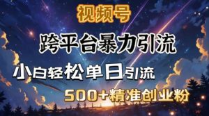 跨平台暴力引流,私域完美闭环,日引500+精准创业粉-必智轻创社