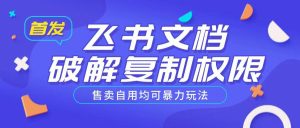 首发飞书文档破解复制权限,售卖自用均可暴力玩法-必智轻创社