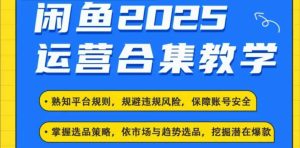2025闲鱼电商运营全集,2025最新咸鱼玩法-必智轻创社