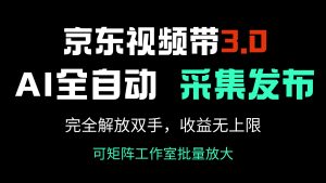 京东视频带货3.0,Ai全自动采集+自动发布,完全解放双手,收入无上限…-必智轻创社