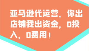 亚马逊代运营，你出店铺我出资金，0投入，0费用，无责任每天300分红，赢亏我承担-必智轻创社