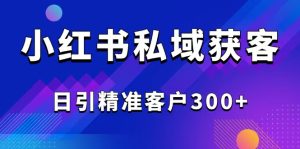 2025最新小红书平台引流获客截流自热玩法讲解，日引精准客户300+-必智轻创社