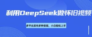 利用DeepSeek做怀旧视频，流量号多渠道变现能力强-必智轻创社
