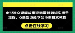 小说推文短篇故事混剪最新剪辑实操全流程，0基础也能学会小说推文教程，肯干多发日入多张-必智轻创社
