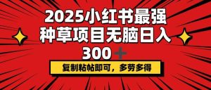 2025小红书最强种草项目,无脑日入300+,复制粘帖即可,多劳多得-必智轻创社