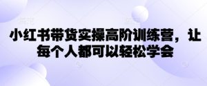 小红书带货实操高阶训练营，让每个人都可以轻松学会-必智轻创社