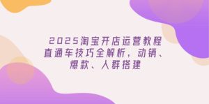 2025淘宝开店运营教程更新,直通车技巧全解析,动销、爆款、人群搭建-必智轻创社