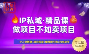 2025年“IP私域·密训精品课”,日赚3000+小白避坑年赚百万,暴力引流…-必智轻创社