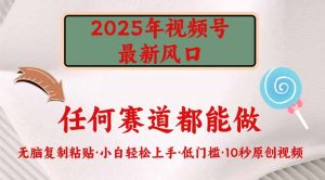 2025年视频号新风口,低门槛只需要无脑执行-必智轻创社