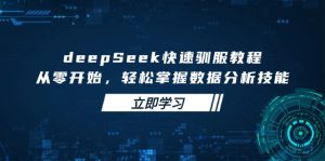 deepSeek快速驯服教程，从零开始，轻松掌握数据分析技能-必智轻创社
