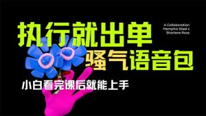 爆火全网的开车导航骚气语音包,只要执行就出单，小白看完课程就能实操…-必智轻创社