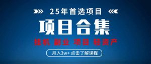 2025 实操项目合集 挂机类型 直播类型 轻资产创业类型 课程分享各项目…-必智轻创社