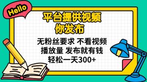 平台提供视频 你发布 无粉丝要求 不看视频播放量 发布就有钱 轻松一天300+-必智轻创社