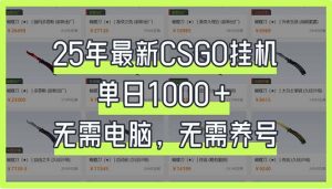 25年最新CSGO挂机系统,单日1000+,无需电脑,无需养号,0基础可上手-必智轻创社