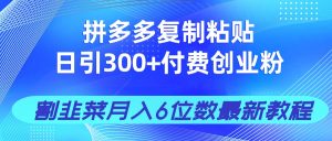拼多多复制粘贴日引300+付费创业粉,割韭菜月入6位数最新教程!-必智轻创社