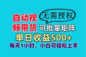自动视频带货，可批量矩阵，单日收益500+、轻松实现睡后收益，小白可…-必智轻创社