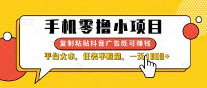 手机零撸小项目，复制粘贴抖音广告即可赚钱，平台大水，任务不限量，一…-必智轻创社