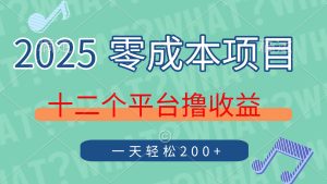 2025年零成本项目,十二个平台撸收益,单号一天轻松200+-必智轻创社