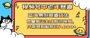 2025视频号中老年短视频蓝海暴利风口！复制粘贴搬运视频单日赚800+，无…-必智轻创社