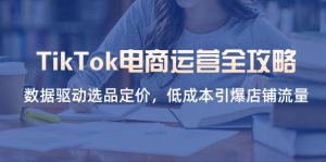 TikTok电商运营全攻略，数据驱动选品定价，低成本引爆店铺流量-必智轻创社